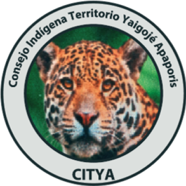 CONSEJO INDÍGENA DEL TERRITORIO DEL YAIGOJÉ APAPORIS.