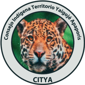 logo CITYA